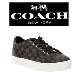 Coach Paddy Sneaker